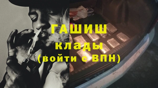 амф Елизово