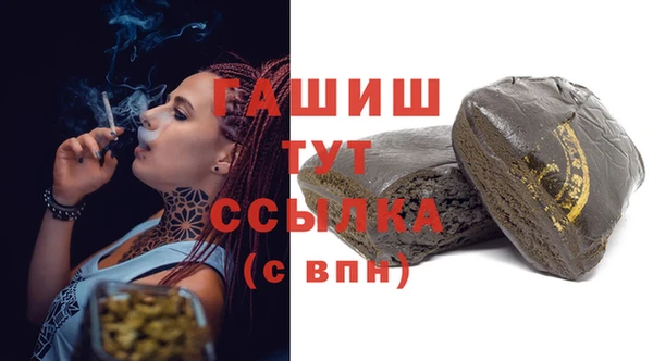 стаф Ельня
