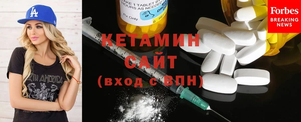 стаф Ельня