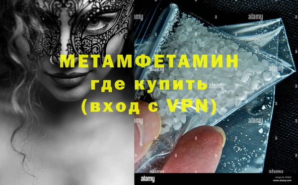 стаф Ельня