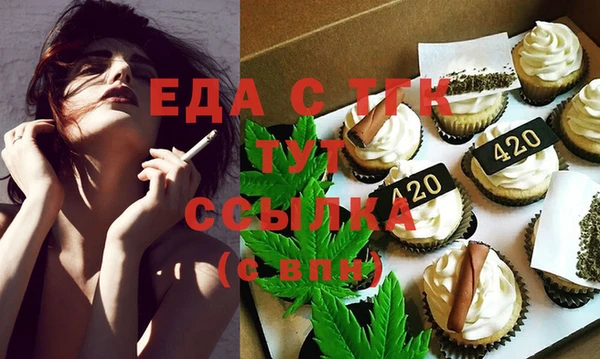 стаф Ельня