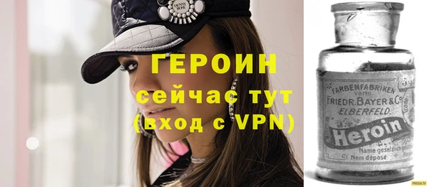 стаф Ельня
