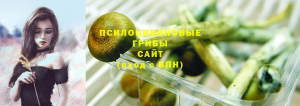 стаф Ельня