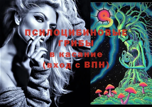 стаф Ельня