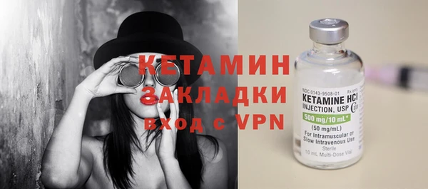 стаф Ельня