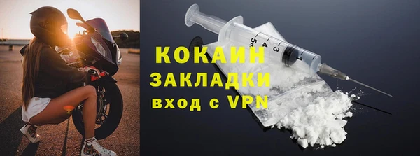 стаф Ельня