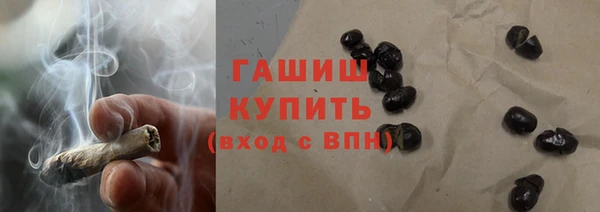 стаф Ельня