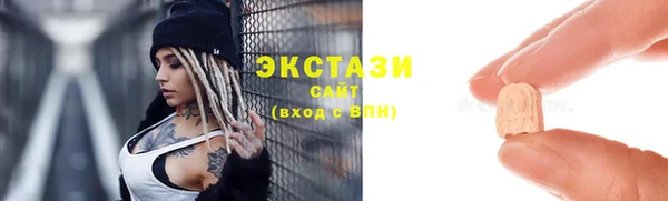 стаф Ельня