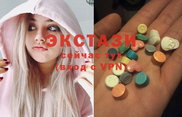 стаф Ельня