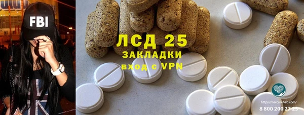 стаф Ельня