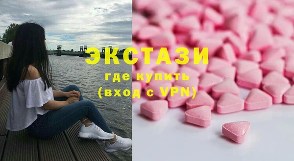 стаф Ельня