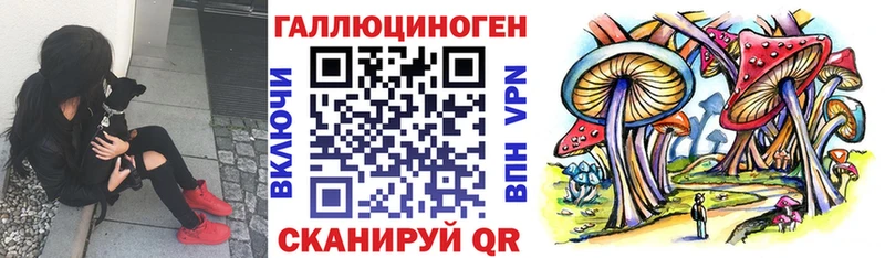 Псилоцибиновые грибы Cubensis  Купить где  Кохма 